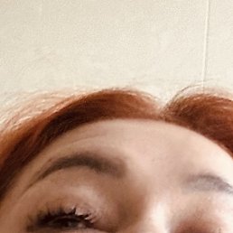 �����, ���������, 48 ���