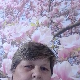 ���� ������, �����, 63 ���� - ��������� 7 �������� 2023