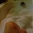 ���� �����, ������, 22 ���� - ��������� 30 ���� 2023