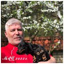 ���� ����, �����-��������� - ��������� 3 ���� 2023 � ������ ���� ����������