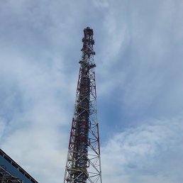 ����, ������, 36 ���