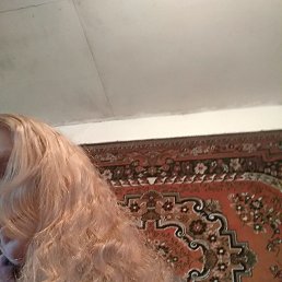 ���� ����������� ������, ������, 43 ���� - ��������� 22 ������ 2023