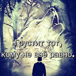 ���� �����, �����-���������, 43 ���� - ��������� 14 ������� 2023