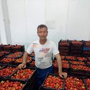 ���� �����, ����, 52 ���� - ��������� 3 ������ 2023 � ������ ���� ����������