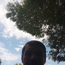 �������, ������, 55 ���