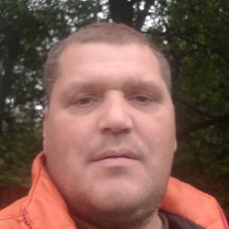 ���������, ��������, 41 ���