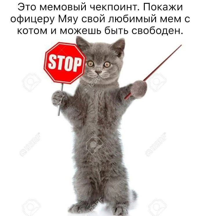    - 3  2023  23:37
