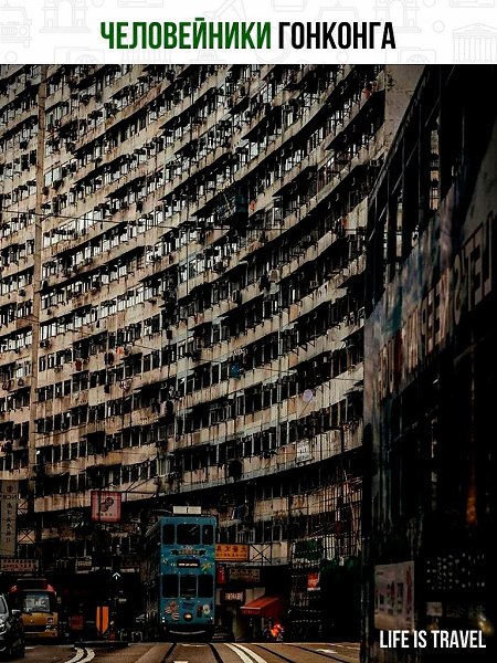 Человейники Гонконга, также известные как человек-фишки, являются важной частью уличной культуры ...