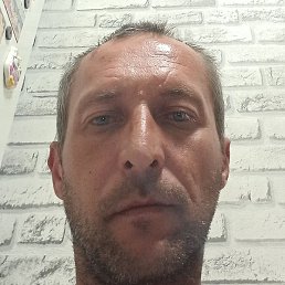 �������, ������, 46 ���