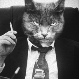 ���������, ����, 34 ����