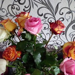 ���������, ���������