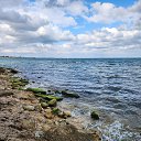 ���� �������, ��������, 46 ��� - ��������� 17 �������� 2023 � ������ ���� ����������