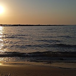 ����, ������, 40 ���