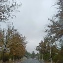 ���� Emir, �����, 24 ���� - ��������� 13 ������� 2023 � ������ ���� ����������