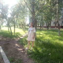 ������, ����, 41 ���