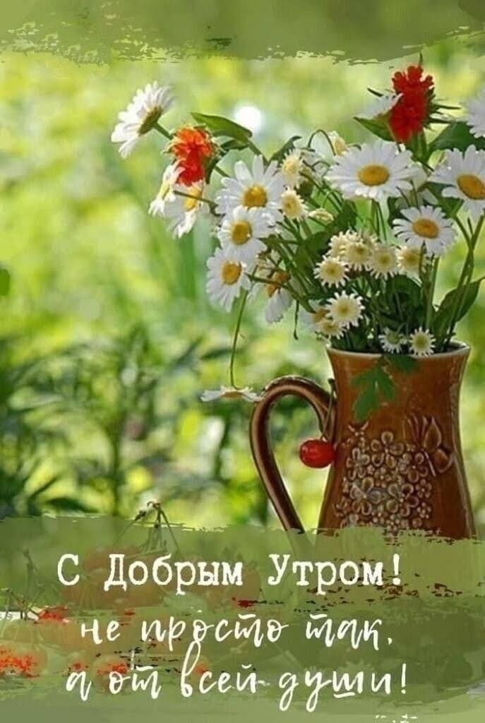   ,    . - 21  2023  23:38