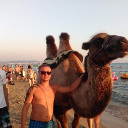 ���� �����, ������, 37 ��� - ��������� 27 ������� 2023