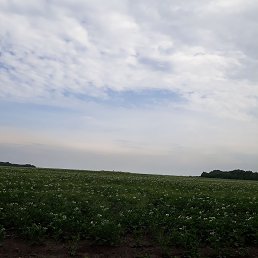 ���� ����, �����������, 53 ���� - ��������� 3 �������� 2023