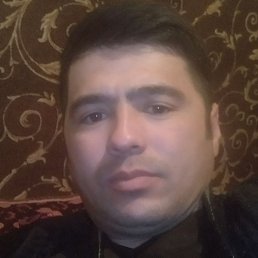 ������, �����-���������, 36 ���