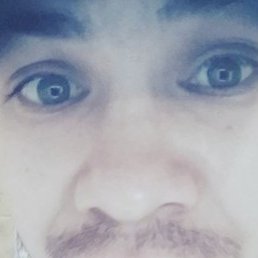 ����, ���������, 35 ���