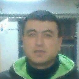 ������� �������, �������, 46 ���