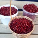 ���� ������, �����-���������, 70 ��� - ��������� 30 ���� 2023 � ������ �����