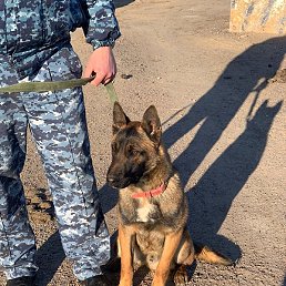 ������, ������, 46 ���