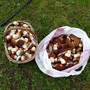 ���� ������, �����-���������, 70 ��� - ��������� 2 �������� 2023 � ������ ���� ����������