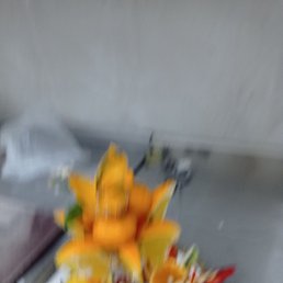 ����, �����������, 33 ����