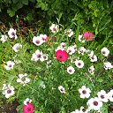 ���� �������, ������ - ��������� 9 ���� 2023 � ������ ���� ������� ����