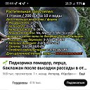 ���� ��������, �������� - ��������� 25 ������� 2023 � ������ ���� ����������