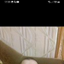 ���� ��������, �������, 51 ��� - ��������� 4 ��� 2023 � ������ ���� ����������