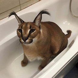 ����, ������, 24 ����