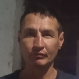 ������, ������, 40 ���