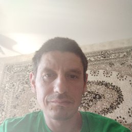 , 51 , 