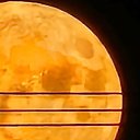 ���� Vadim, ������, 41 ��� - ��������� 7 �������� 2023 � ������ ���� ����������