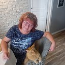 ���� ������, �������, 48 ��� - ��������� 12 ������� 2023 � ������ ���� ����������