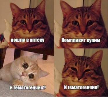 � ���� ����� �� ��������� ���������������