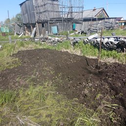 ����, ������, 39 ���