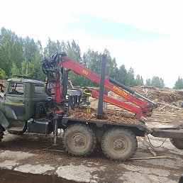 ������, �����-���������, 44 ����