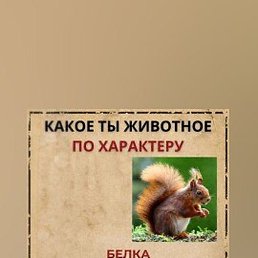 �����(), ��������, 22 ����