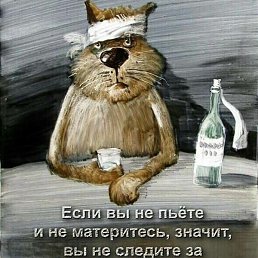 ����� �����, ����, 62 ����