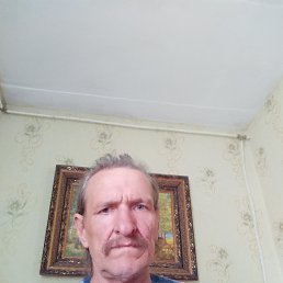 , 65 , 