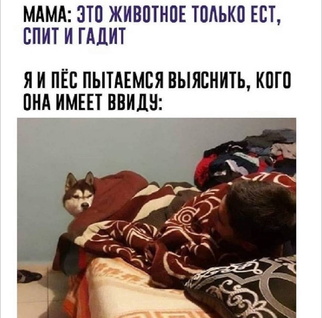    - 23  2023  16:20