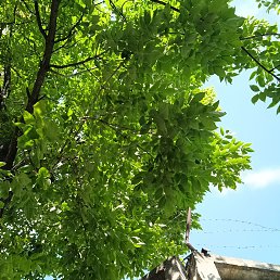 ���� �����, �����, 32 ���� - ��������� 14 ������� 2023