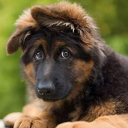 � ������, ������, 26 ���