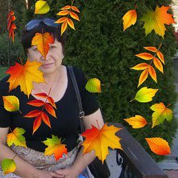 ���� �������, ���������, 67 ��� - ��������� 17 ��� 2023