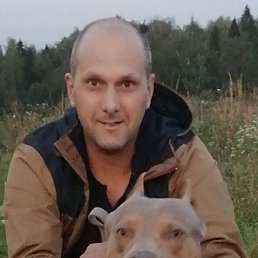 ���� ��������, ������, 47 ��� - ��������� 31 ������� 2023