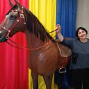 ���� �������, ������-��-����, 62 ���� - ��������� 2 ������ 2023 � ������ ���� ����������