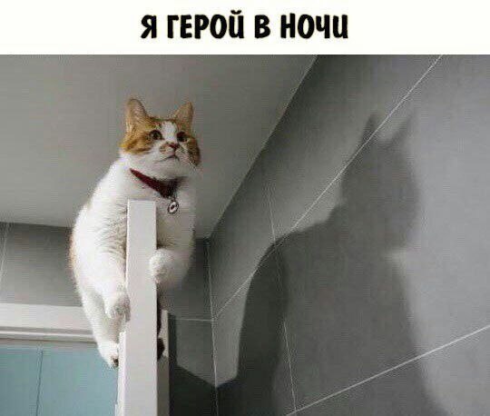    - 28  2023  22:40